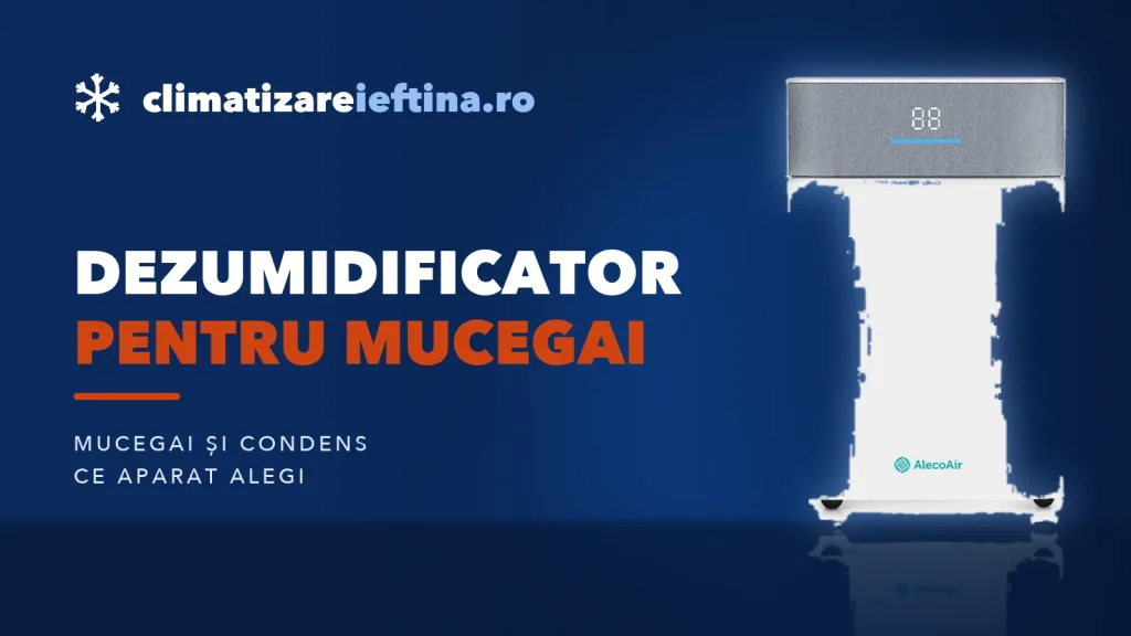 Dezumidificator pentru mucegai: ajută și ce model alegi