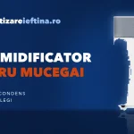 Dezumidificator pentru mucegai: ajută și ce model alegi