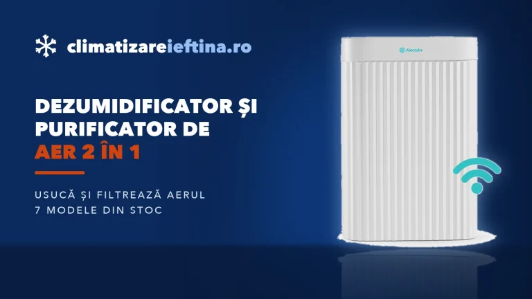 Dezumidificator și purificator de aer 2 în 1: cum alegi