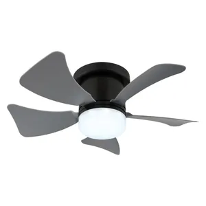 Globo 03609A