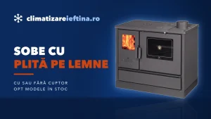 Sobe cu plită pe lemne: cum alegi și modele cu sau fără cuptor